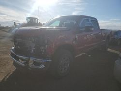 Salvage cars for sale at Brighton, CO auction: 2021 Ford F350 Super Duty