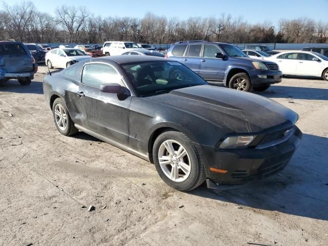 2010 Ford Mustang