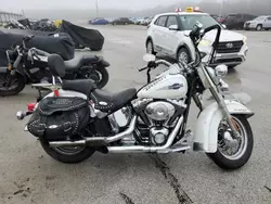 Harley-Davidson Vehiculos salvage en venta: 2005 Harley-Davidson Flstci