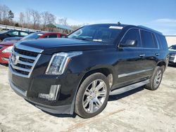 Salvage cars for sale at Spartanburg, SC auction: 2015 Cadillac Escalade Luxury