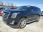 2015 Cadillac Escalade Luxury