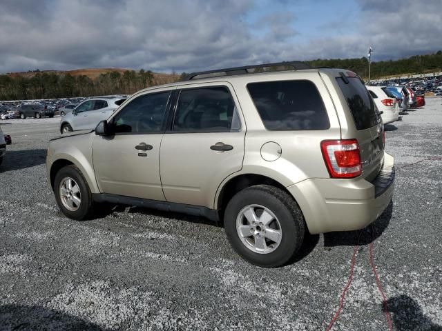 2010 Ford Escape XLT