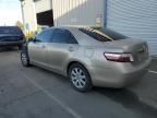 2007 Toyota Camry Hybrid