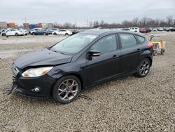 Salvage cars for sale at Columbus, OH auction: 2014 Ford Focus SE