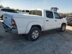 2010 Toyota Tacoma Double Cab Prerunner