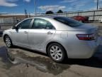 2009 Toyota Camry Hybrid