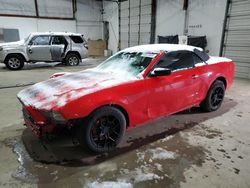 Carros salvage a la venta en subasta: 2014 Ford Mustang