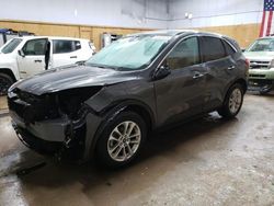 Salvage cars for sale at Kincheloe, MI auction: 2020 Ford Escape SE