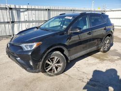 Toyota rav4 xle Vehiculos salvage en venta: 2016 Toyota Rav4 XLE