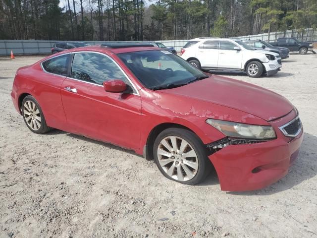 2008 Honda Accord EXL