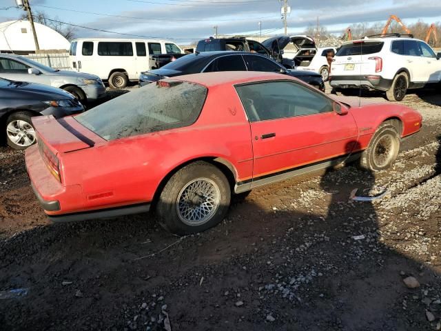 1986 Pontiac Firebird