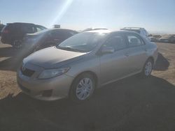 Salvage cars for sale at Brighton, CO auction: 2009 Toyota Corolla Base