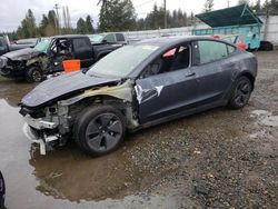 Salvage cars for sale at Graham, WA auction: 2021 Tesla Model 3