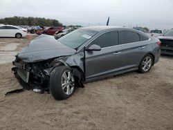 Salvage cars for sale at Apopka, FL auction: 2019 Hyundai Sonata Limited