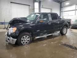 2014 Ford F150 Supercrew en venta en Ham Lake, MN