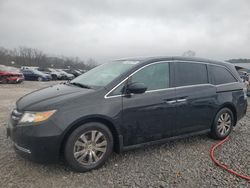 Honda salvage cars for sale: 2014 Honda Odyssey EX