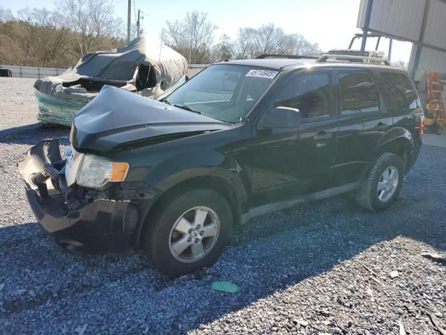 2010 Ford Escape XLT