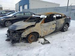 Salvage cars for sale at Elmsdale, NS auction: 2017 Honda Civic LX