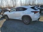 2019 Lexus NX 300H