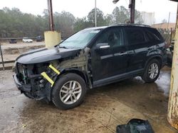 Salvage cars for sale at Gaston, SC auction: 2015 KIA Sorento LX