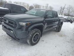 Salvage cars for sale at Central Square, NY auction: 2024 Toyota Tacoma Double Cab