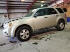 2011 Ford Escape XLS