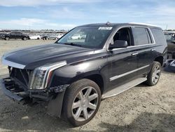 Salvage cars for sale at Antelope, CA auction: 2015 Cadillac Escalade Luxury