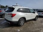 2019 Honda Pilot EXL