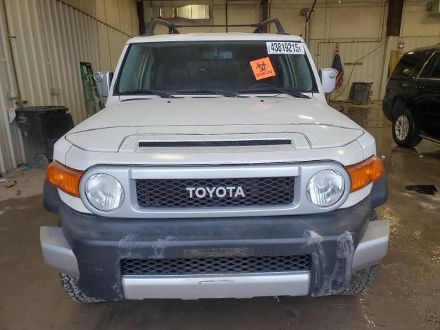 2010 Toyota FJ Cruiser