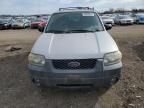 2005 Ford Escape XLT