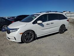 Salvage cars for sale at Earlington, KY auction: 2021 Honda Odyssey Elite