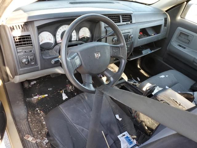 2011 Dodge Dakota SLT