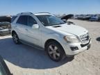 2010 Mercedes-Benz ML 350