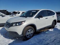 Salvage cars for sale at Elgin, IL auction: 2013 Honda CR-V LX