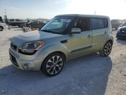 Salvage cars for sale at Arcadia, FL auction: 2013 KIA Soul +