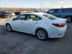 2014 Lexus ES 300H