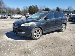 Salvage cars for sale at Madisonville, TN auction: 2013 Ford Escape SE