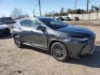 2024 Lexus NX 350 Base