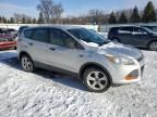 2015 Ford Escape S