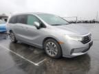 2021 Honda Odyssey EXL