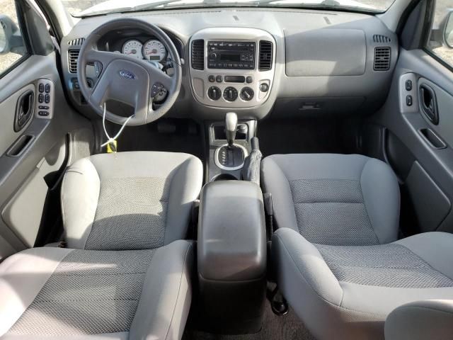 2006 Ford Escape XLT