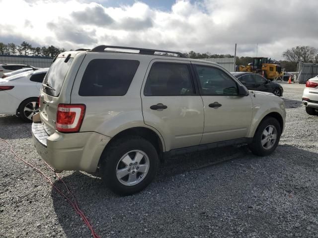 2010 Ford Escape XLT