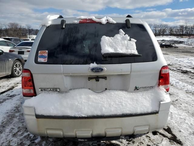 2010 Ford Escape Hybrid