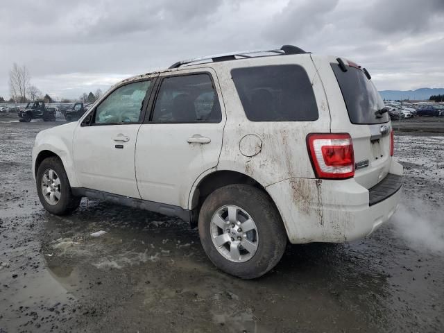 2011 Ford Escape Limited