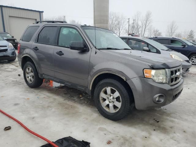 2010 Ford Escape XLT