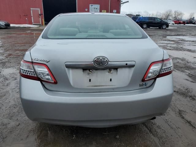 2010 Toyota Camry Hybrid