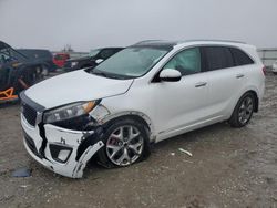 Salvage cars for sale at Earlington, KY auction: 2016 KIA Sorento SX