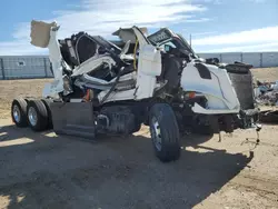 Freightliner Cascadia 116 salvage cars for sale: 2024 Freightliner Cascadia 116