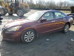 Honda salvage cars for sale: 2011 Honda Accord EXL