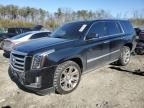 2015 Cadillac Escalade Premium